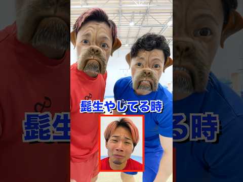 【エフェクトで笑った方の負け】#shorts #体操 thumbnail