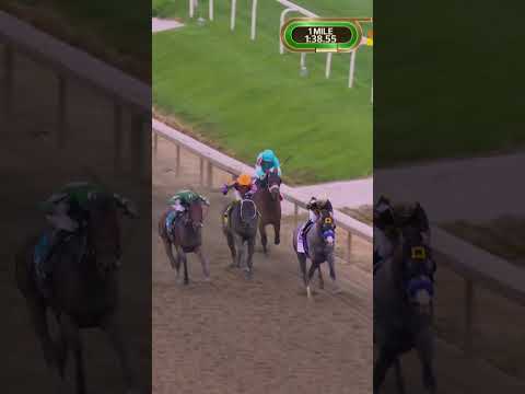 DOMINANCE at the 151st Preakness ??? thumbnail