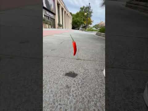 Woa - IF YOU LAUGH, YOU LOSE ? ???? #funny #shortvideo#2A LẦY thumbnail