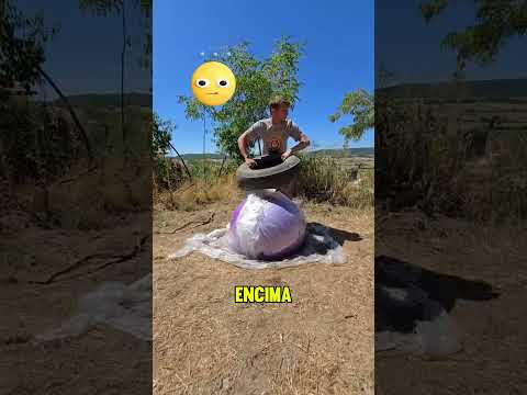 ¡El hombre decoró su jardín! 🌿🛠️ thumbnail