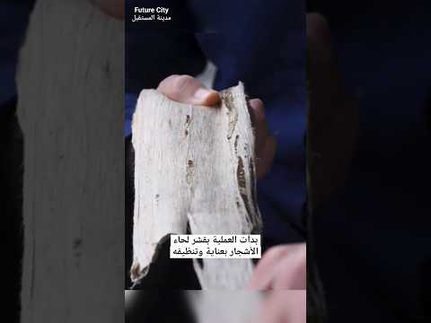 طريقة صنع الورق thumbnail