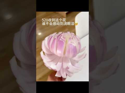520收到这花 谁不会感动到流眼泪?? #520 #节日 #洋葱 thumbnail