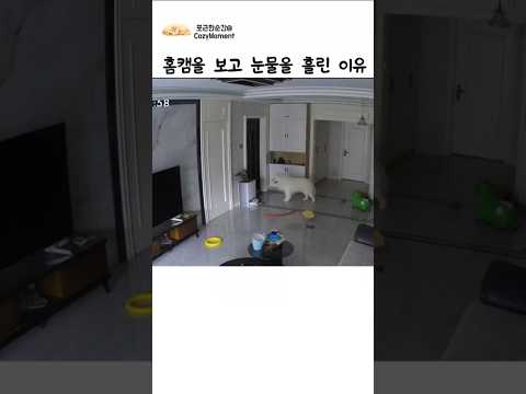 홈캠을 보고 눈물을 흘린 이유 thumbnail