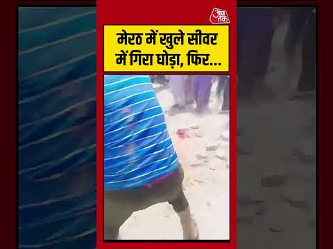 Meerut में खुले सीवर में गिरा घोड़ा, फिर... #meerut #viralvideo #shortsvideo #aajtak thumbnail