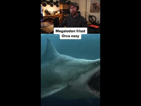 Orcas waren nur sein Snack thumbnail