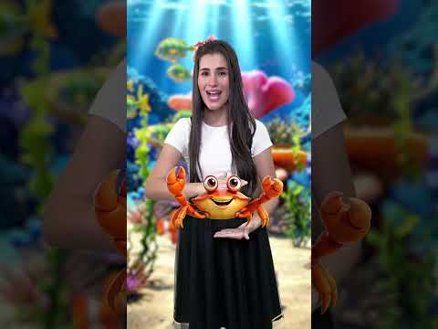 Aprendendo tamanhos e velocidade de animais do oceano ? #kidslearning #video #ocean #viral thumbnail