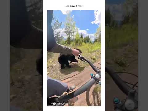 Lost some man points for yelling thumbnail