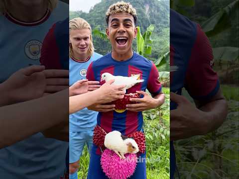 Yamal Really Challenged the Spikiest Fruit 🌵😵 #football #haaland #parody thumbnail