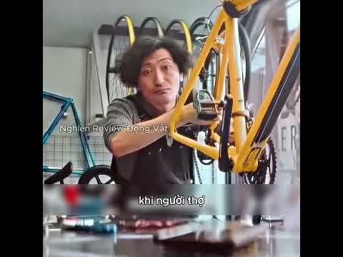 Mọi thứ cậu bé chạm vào đều biến thành hàng xa xỉ. thumbnail
