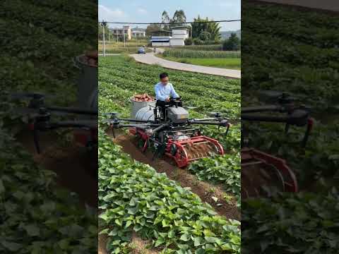 Máy thu hoạch củ ....#automobile #nongnghiepthongminh #maynongnghiep  #maynongnghiepxanh thumbnail