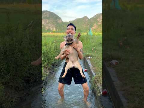 Dirty Dog To Cute Puppy Transformation 🐶 thumbnail