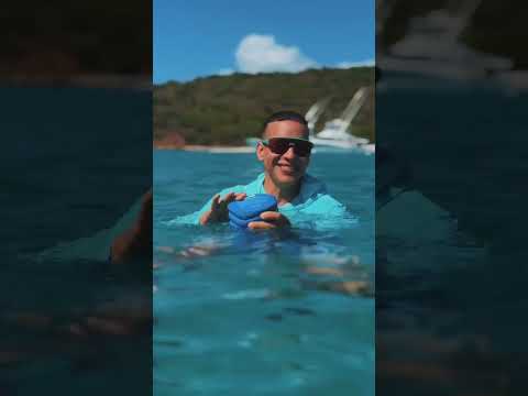Tamo’en contentura PR’ - 🏝️🇵🇷 thumbnail