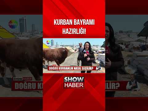 Doğru kurbanlık nasıl seçilir? #showanahaber #shorts thumbnail
