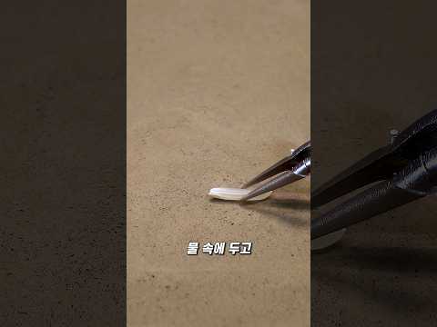 집에서 쌀을 키울 수 있을까? thumbnail