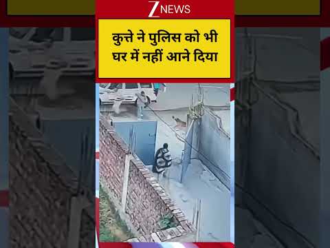 Viral Video: कुत्ते ने पुलिस को भी घर में नहीं आने दिया! Zee News thumbnail