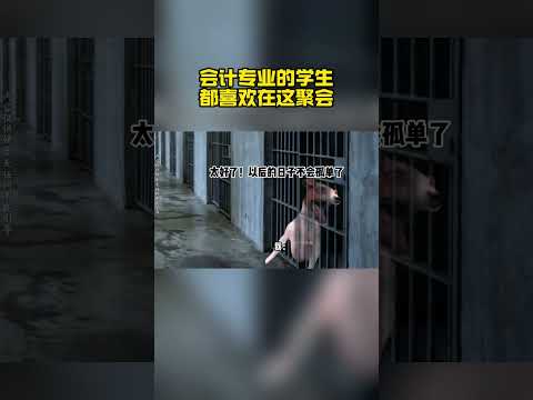 外面的会计都是新兵蛋子，优秀的会计都在提篮桥呢#猫meme小剧场 #搞笑 #抽象 #万万没想到 thumbnail