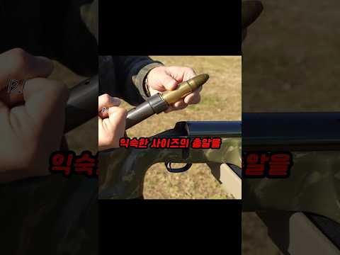 대 물 총 알 thumbnail