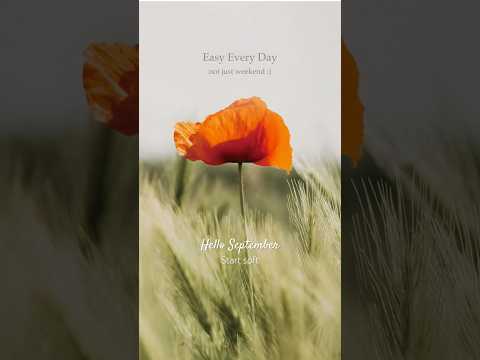 Easy Every Day #musepetal #music #kindie #relaxingmusic #chillmusic #focusmusic thumbnail