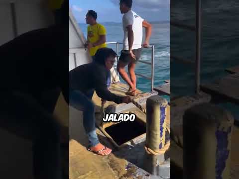 Por Eso Un Novato NO Debería Tocar El Ancla ? thumbnail