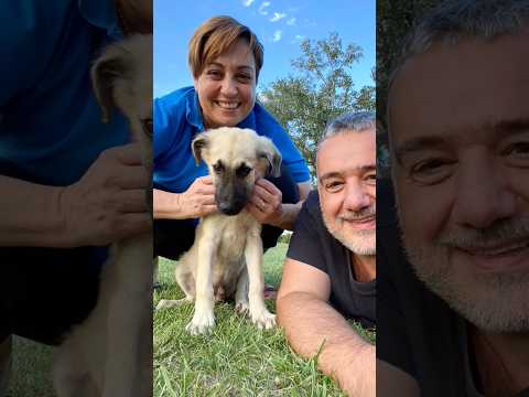 20 maggio 2026 thumbnail