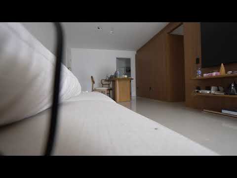 | noelgoescrazy #shorts thumbnail