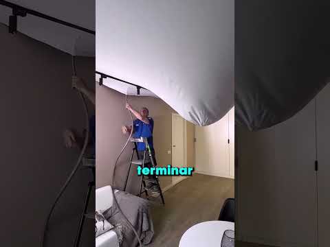 El techo de su casa empezó a caerse 😰🐧 thumbnail