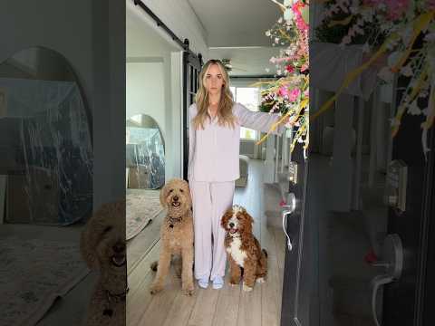 Famous last words #dogs #dogcomedy thumbnail