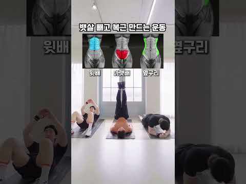 뱃살 빼고 복근만드는 운동모음 #오운완 #뱃살운동 #복근운동 thumbnail