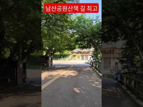 가슴 확트이게 하는 남산공원 산책길 열정으로 찐하게 살아가야죠 #찐이야#영탁 #트로트 #안중태tv#shorts thumbnail