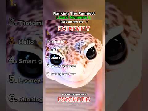 Ranking The Funniest Lizard Moments thumbnail