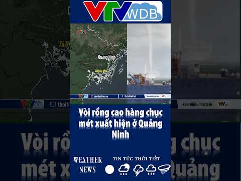Vòi rồng cao hàng chục mét xuất hiện ở Quảng Ninh | VTVWDB thumbnail