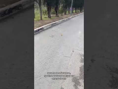ПОЕХАЛ ПО ДЕЛАМ | TikTok: iligendi0 thumbnail