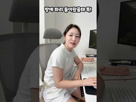 방에 파리 들어왔을때 특! ㅋㅋㅋ thumbnail