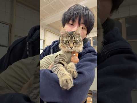 おかげさまで体重3kg突破！！！ thumbnail