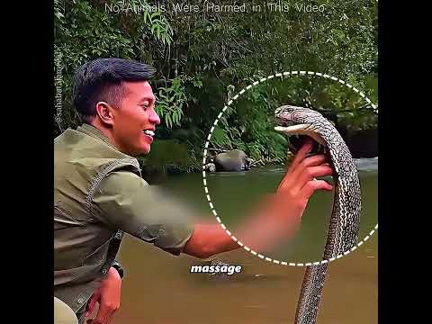 Snake Attacks Don’t Always Equal Danger #pets #cute #funny #shorts thumbnail