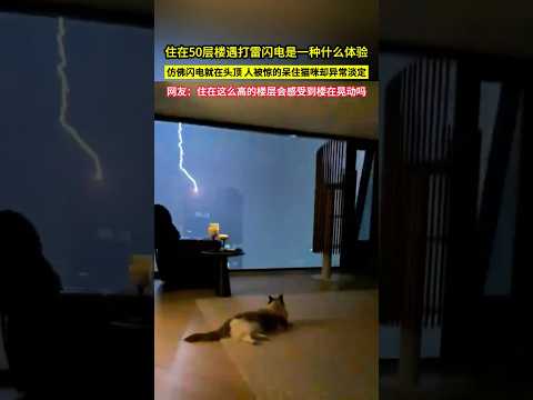 住在50層樓遇打雷閃電是一種什麼體驗，彷彿閃電就在頭頂，人被驚的呆住，貓咪卻異常淡定，網友：住在這麼高的樓層會感受到樓在晃動嗎?#shorts thumbnail