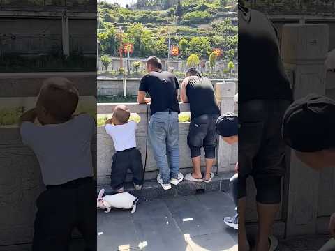 “That Rabbit Turned Into a Little Kid 😳🐰” #funny #comedy #laugher #prank #shortvideo #shorts thumbnail