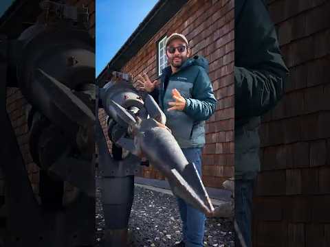 A ARMA usada para CAÇAR BALEIAS! thumbnail