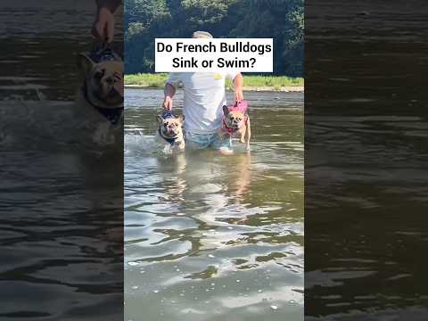SINK OR SWIM??..Click Link Above To Find Out In Our New Video👆 thumbnail