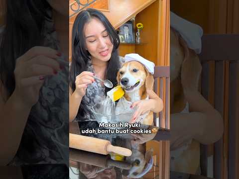 RYUKI RAJIN MEMBANTU MAMI MASAK‼️😍 RYUKI LAHAP MAKAN COOKIES😋 #shorts #anjinglucu thumbnail