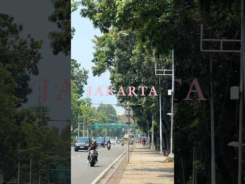 BLACKPINK WORLD TOUR [DEADLINE] IN JAKARTA 🌴 #BLACKPINK #WORLDTOUR #DEADLINE #DEADLINE_IN_JAKARTA thumbnail