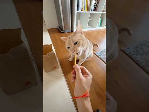 féfé protects the french fries thumbnail