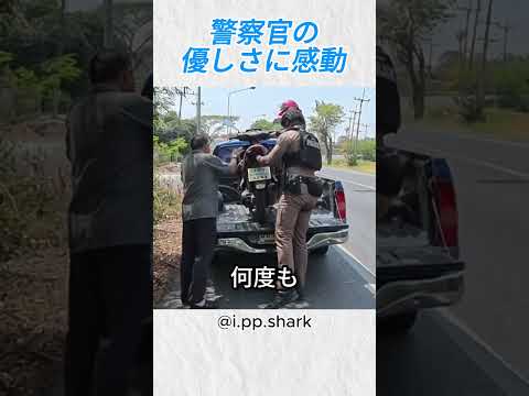 警察官の優しさに感動@i pp shark #バイカー #shorts thumbnail
