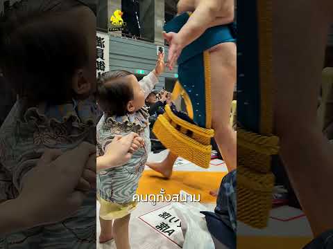 น้องคนนี้จับมือนักซูโม่…แต่ทำให้ทั้งสนามขำลั่น! thumbnail