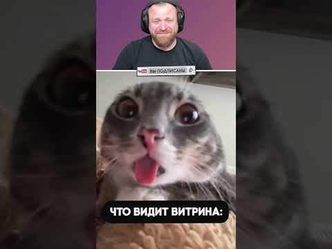 Петренто витрина #петренто #petrento #реакция #прикол #приколы #мем #мемы #юмор #смех #memes #funny thumbnail