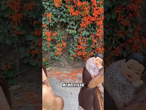 Karya Kayu Ini Dibuat Selama 7 Tahun, Tapi Kamu Cuma Butuh 1 Detik Untuk Menghargainya ?❤️ #short thumbnail