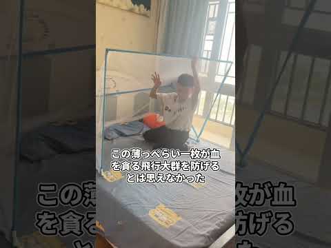 冗談じゃない……アフリカでマラリアが大発生し日本がボロ布を送って嘲笑された結果やばすぎる thumbnail