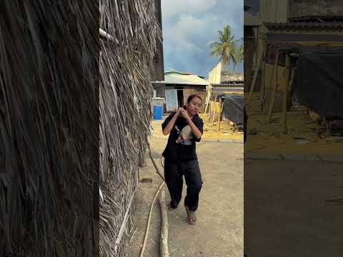 CHẶT CÂY ĐỐN CỦI #haibadane #shorts thumbnail