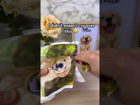 Wait for it ?❤️#pets #dogs #dogsoftiktok #giftsideas #dogloss thumbnail