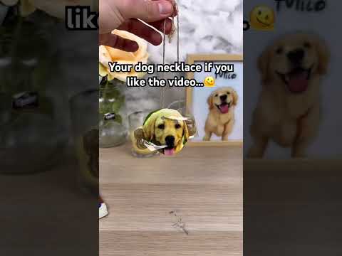 The last one really got me ? ? #pets #dogs #dogsoftiktok #dogloss #giftsideas thumbnail